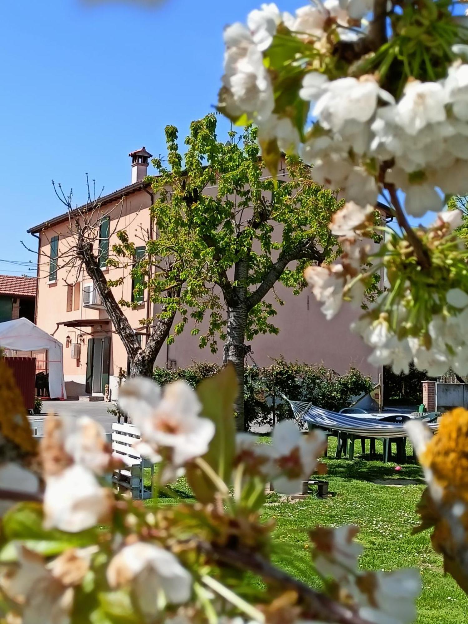 ブリジゲッラ La Casa Della Nonna Bed & Breakfast エクステリア 写真
